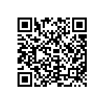 300AWDP3J3BLKVS2QE QRCode