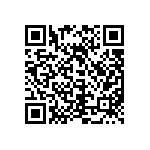 300AWSP1J2BLKVS2RE QRCode