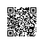 300AWSP1J6BLKVS2QE QRCode