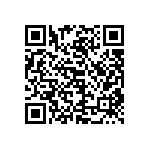 300DP3J3BLKVS2QE QRCode