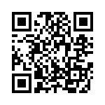 300X10939X QRCode