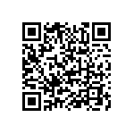 307-043-545-101 QRCode