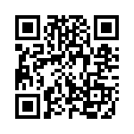 312110100 QRCode