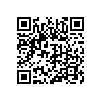 315-99-132-41-003000 QRCode