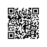 316-87-119-41-013101 QRCode