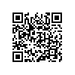 316-87-125-41-013101 QRCode