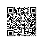 316-87-131-41-013101 QRCode