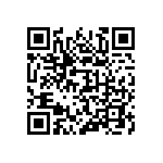 316-87-163-41-001101 QRCode