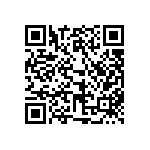 317-87-102-41-022101 QRCode