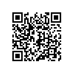 317-87-112-41-026101 QRCode