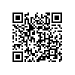 317-87-122-41-022101 QRCode