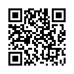 333MWS402KJ QRCode