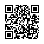 338 QRCode