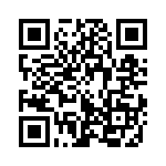 353NB3A384T QRCode