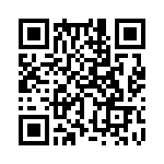 353NB3C480T QRCode