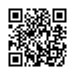 353NB3I283R QRCode