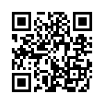 353NB3I38CT QRCode