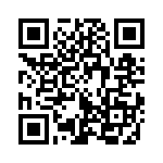 353NB5A122T QRCode