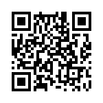 353NB6A480T QRCode