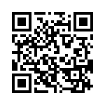 353TB3A400T QRCode