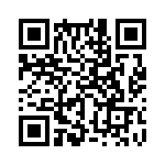 353TB3I250T QRCode