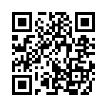 353VB3I491T QRCode