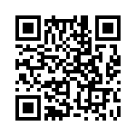 353VB5I400T QRCode