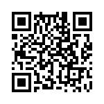 353WB3C480T QRCode