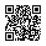 381N10K QRCode