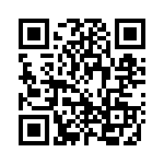 3858-040 QRCode