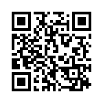 387_273 QRCode