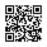 38BT-4-V-3-S QRCode