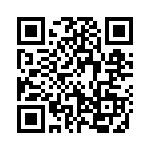 39-3 QRCode