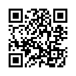 390105 QRCode