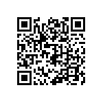 399-V3-114-10-009101 QRCode