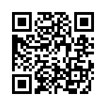 4-1393303-8 QRCode