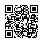 4-1393637-6 QRCode