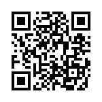 4-1393809-1 QRCode