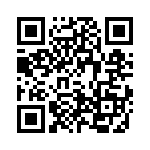 4-1393818-5 QRCode