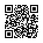 4-1393819-9 QRCode