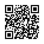 4-1617019-5 QRCode