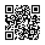 4-1617339-6 QRCode