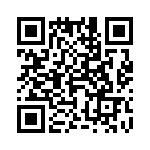 4-1625868-0 QRCode