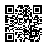 4-641313-3 QRCode