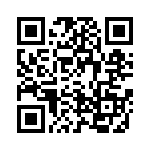 4-641313-6 QRCode