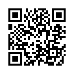 4010-DASKF_868 QRCode