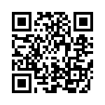 402F384XXCJT QRCode