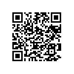 405I35D13M00000 QRCode