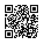 4091 QRCode