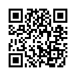 41729 QRCode